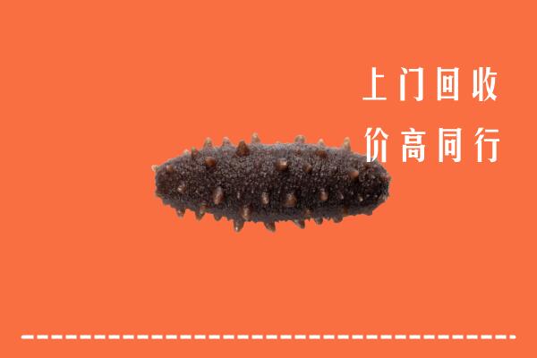 齐齐哈尔高价回收海参